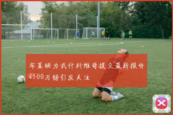 布莱顿为武什科维奇提交最新报价4500万镑引发关注