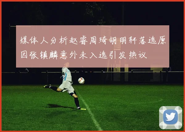 媒体人分析赵睿周琦胡明轩落选原因张镇麟意外未入选引发热议